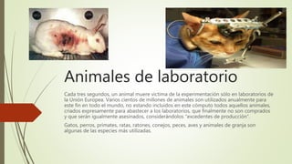 Animales de laboratorio
Cada tres segundos, un animal muere víctima de la experimentación sólo en laboratorios de
la Unión Europea. Varios cientos de millones de animales son utilizados anualmente para
este fin en todo el mundo, no estando incluidos en este cómputo todos aquellos animales,
criados expresamente para abastecer a los laboratorios, que finalmente no son comprados
y que serán igualmente asesinados, considerándolos “excedentes de producción”.
Gatos, perros, primates, ratas, ratones, conejos, peces, aves y animales de granja son
algunas de las especies más utilizadas.
 