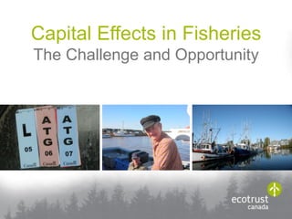 Capital Effects in Fisheries
The Challenge and Opportunity
 
