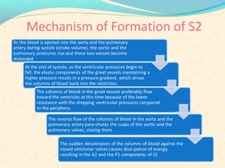 Mechanism of Formation of S2
 