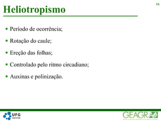  Período de ocorrência;
 Rotação do caule;
 Ereção das folhas;
 Controlado pelo ritmo circadiano;
 Auxinas e polinização.
Heliotropismo
16
 