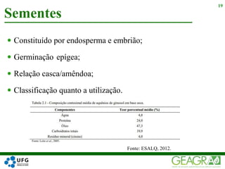  Constituído por
 Germinação
 Relação casca/amêndoa;
 Classificação quanto a utilização.
Sementes
19
Fonte: ESALQ, 2012.
 endosperma e embrião;
 epígea;
 