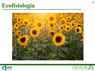 Ecofisiologia
25
 