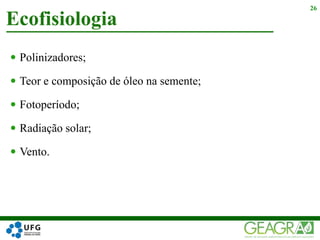  Polinizadores;
 Teor e composição de óleo na semente;
 Fotoperíodo;
 Radiação solar;
 Vento.
Ecofisiologia
26
 