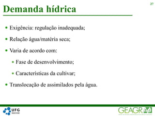  Exigência: regulação inadequada;
 Relação água/matéria seca;
 Varia de acordo com:
 Fase de desenvolvimento;
 Características da cultivar;
 Translocação de assimilados pela água.
Demanda hídrica
27
 
