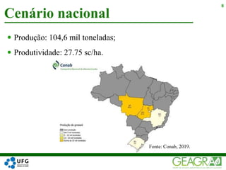  Produção: 104,6 mil toneladas;
 Produtividade: 27.75 sc/ha.
Cenário nacional
8
Fonte: Conab, 2019.
 