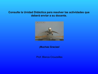 Consulte la Unidad Didáctica para resolver las actividades que
deberá enviar a su docente.
¡Muchas Gracias!
Prof. Blanca Crouzeilles
 