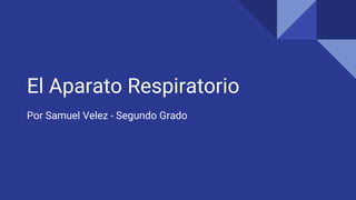 El Aparato Respiratorio
Por Samuel Velez - Segundo Grado
 