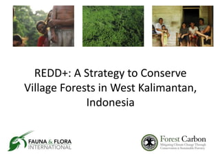 REDD+: A Strategy to Conserve
Village Forests in West Kalimantan,
Indonesia
 