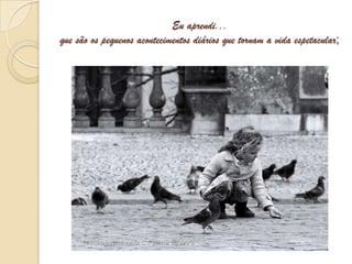 Eu aprendi... que são os pequenos acontecimentos diários que tornam a vida espetacular;