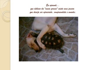 Eu aprendi...que debaixo da "casca grossa" existe uma pessoa  que deseja ser apreciada, compreendida e amada;