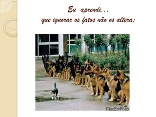 Eu  aprendi...que ignorar os fatos não os altera;