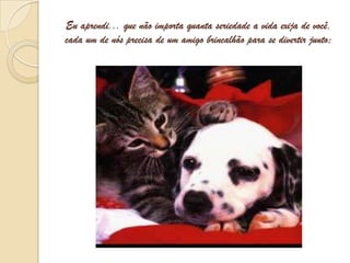 Eu aprendi... que não importa quanta seriedade a vida exija de você,  cada um de nós precisa de um amigo brincalhão para se divertir junto;