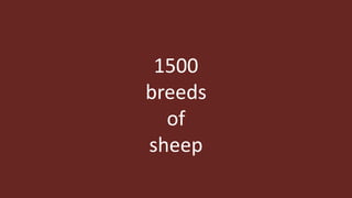 1400
breeds
of
cattle
 