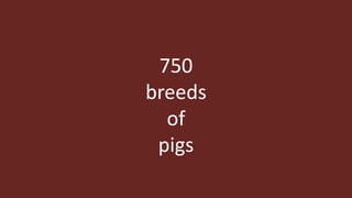 The role of livestock diversity for more sustainable and resilient food systems