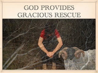 GOD PROVIDES
GRACIOUS RESCUE
 