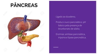 PÂNCREAS
Ligado ao duodeno;
Produz o suco pancreático: pH
básico pela presença de
bicarbonato de sódio;
Enzimas: amilase pancreática,
tripsina e lipase pancreática.