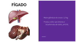 FÍGADO
Maior glândula do corpo: 1,5 kg;
Produz a bile: sais biliares e
bicarbonato de sódio, pH 8-9;