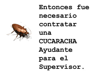 Entonces fue necesario contratar una CUCARACHA Ayudante para el Supervisor.  