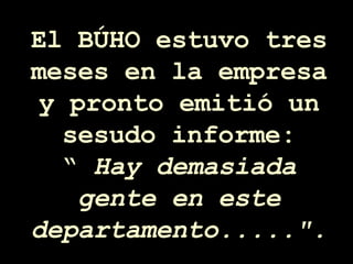El BÚHO estuvo tres meses en la empresa y pronto emitió un sesudo informe: “  Hay demasiada gente en este departamento.....". 