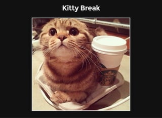 Kitty Break
 