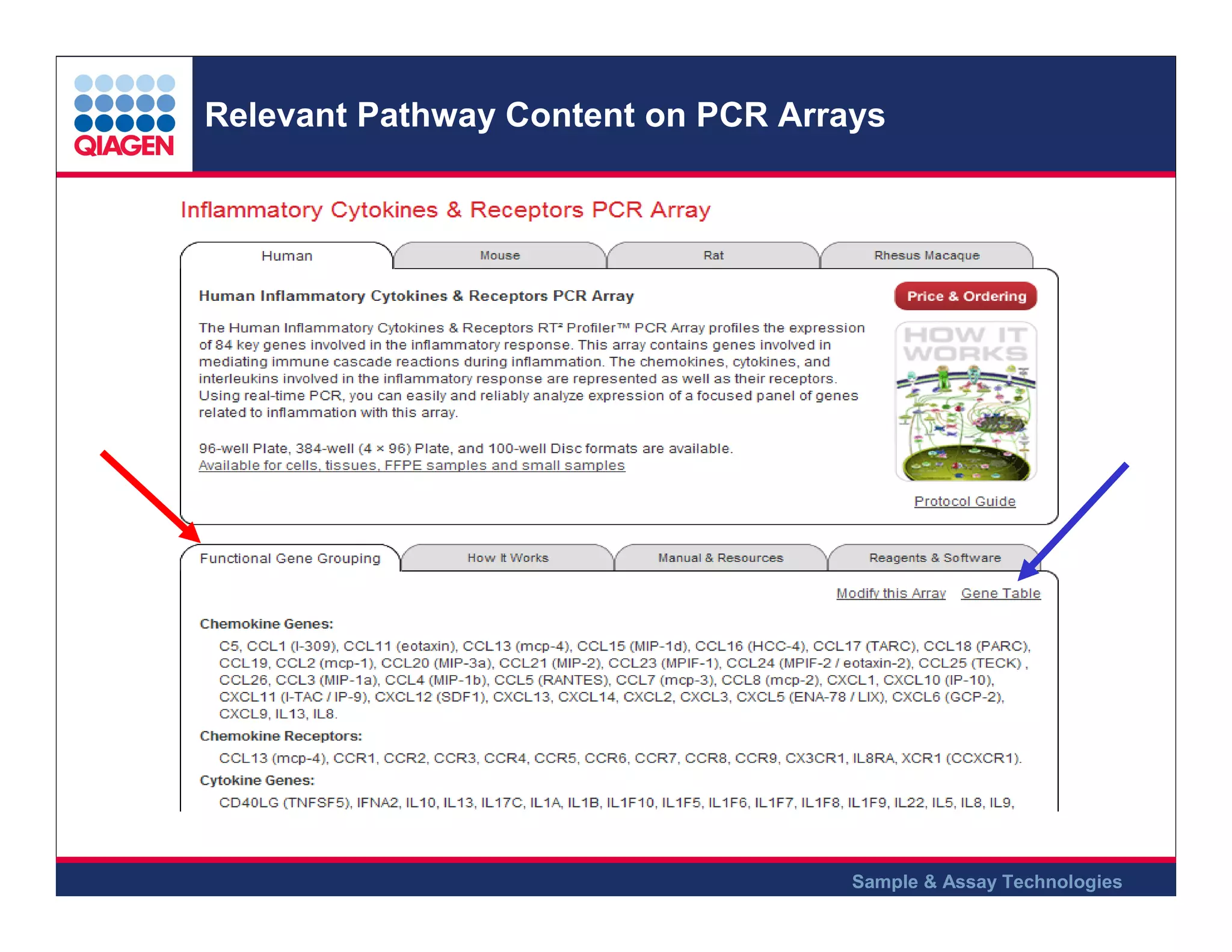 Relevant Pathway Content on PCR Arrays

Sample & Assay Technologies

 