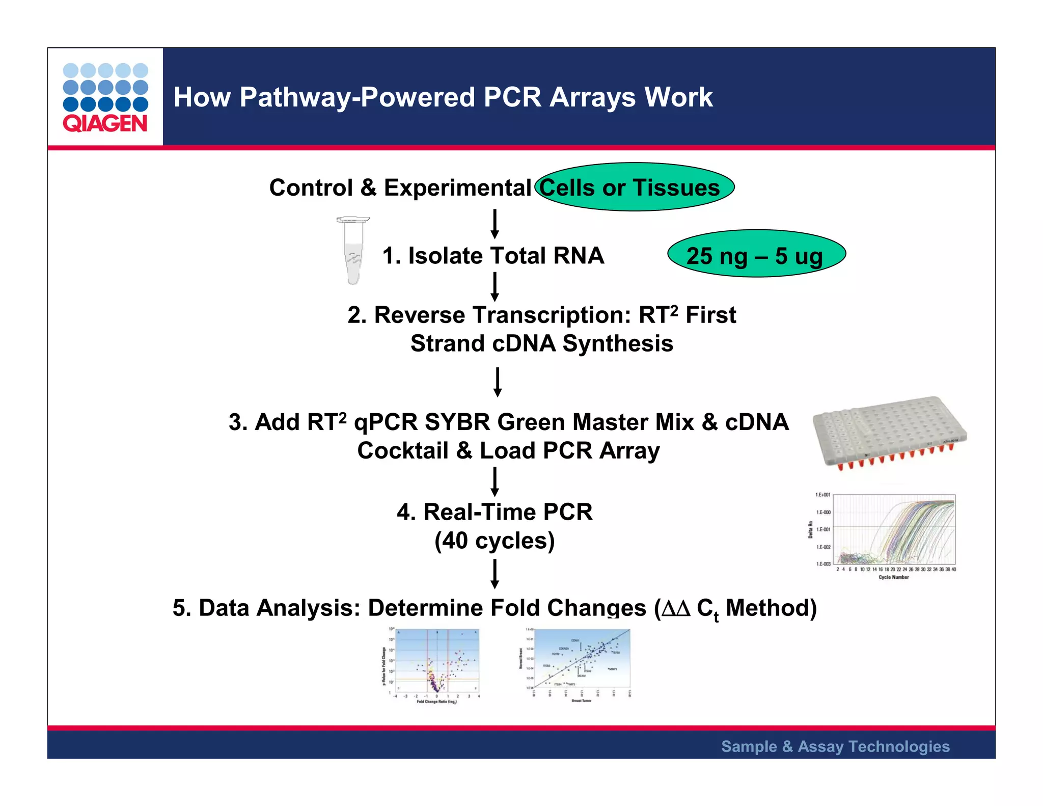 How Pathway-Powered PCR Arrays Work
Control & Experimental Cells or Tissues
1. Isolate Total RNA

25 ng – 5 ug

2. Reverse Transcription: RT2 First
Strand cDNA Synthesis
3. Add RT2 qPCR SYBR Green Master Mix & cDNA
Cocktail & Load PCR Array
4. Real-Time PCR
(40 cycles)
5. Data Analysis: Determine Fold Changes (∆∆ Ct Method)
∆∆

Sample & Assay Technologies

 