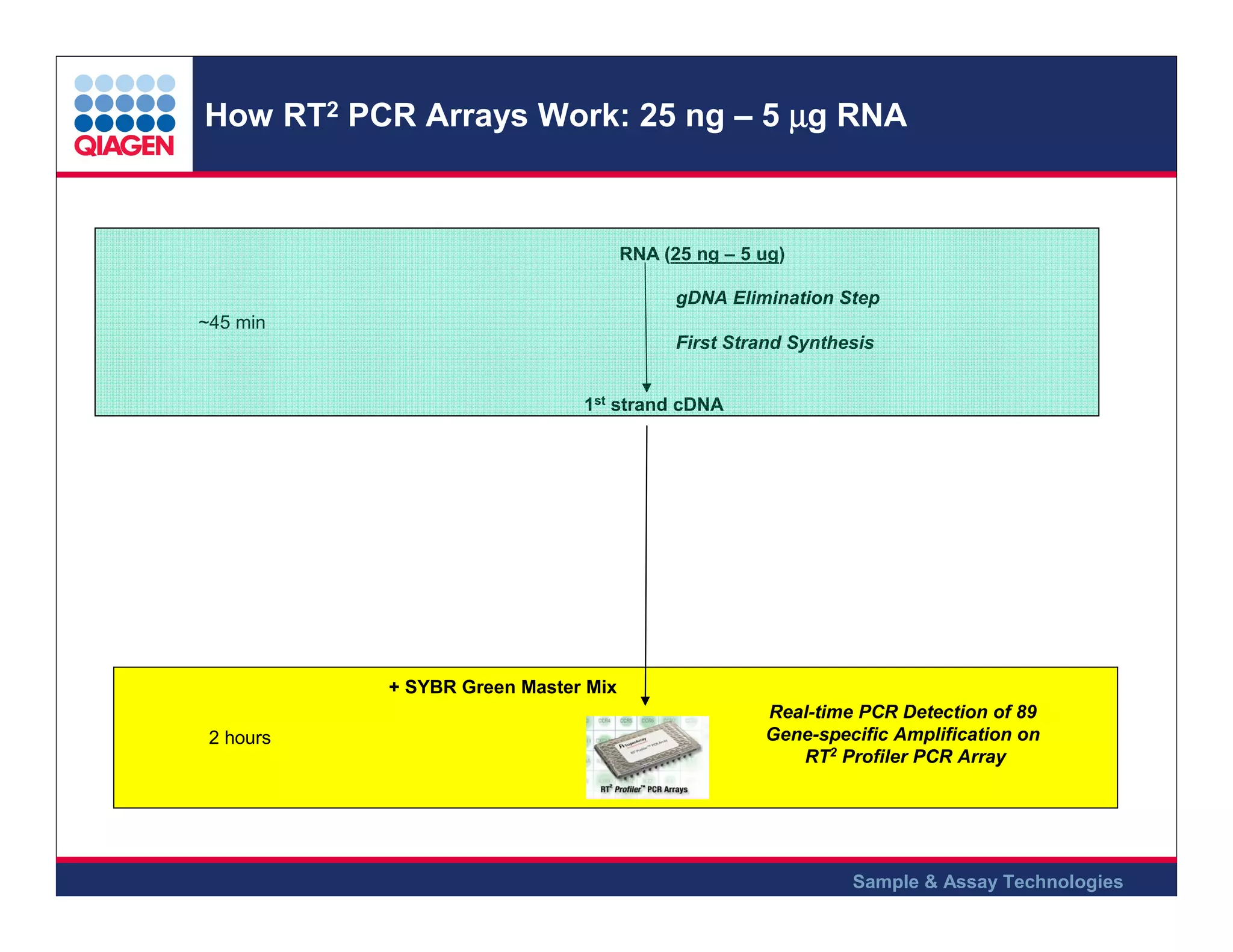 How RT2 PCR Arrays Work: 25 ng – 5 µg RNA

RNA (25 ng – 5 ug)
gDNA Elimination Step
~45 min
First Strand Synthesis
1st strand cDNA

+ SYBR Green Master Mix
2 hours

Real-time PCR Detection of 89
Gene-specific Amplification on
RT2 Profiler PCR Array

Sample & Assay Technologies

 