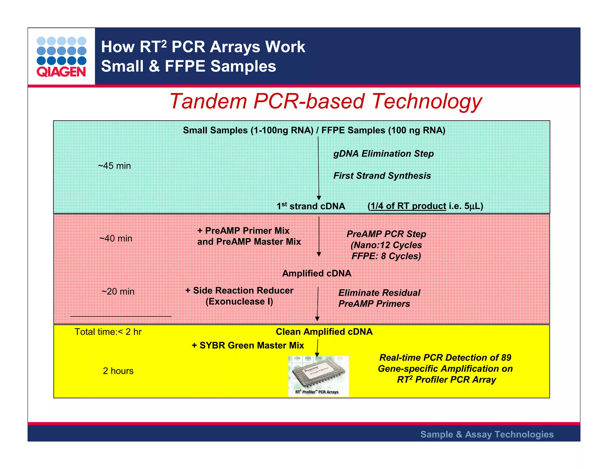 How RT2 PCR Arrays Work
Small & FFPE Samples

Tandem PCR-based Technology
Small Samples (1-100ng RNA) / FFPE Samples (100 ng RNA)
gDNA Elimination Step
~45 min
First Strand Synthesis
(1/4 of RT product i.e. 5µL)
µ

1st strand cDNA

~40 min

+ PreAMP Primer Mix
and PreAMP Master Mix

PreAMP PCR Step
(Nano:12 Cycles
FFPE: 8 Cycles)

Amplified cDNA
~20 min

Total time:< 2 hr

2 hours

+ Side Reaction Reducer
(Exonuclease I)

Eliminate Residual
PreAMP Primers

Clean Amplified cDNA
+ SYBR Green Master Mix
Real-time PCR Detection of 89
Gene-specific Amplification on
RT2 Profiler PCR Array

Sample & Assay Technologies

 