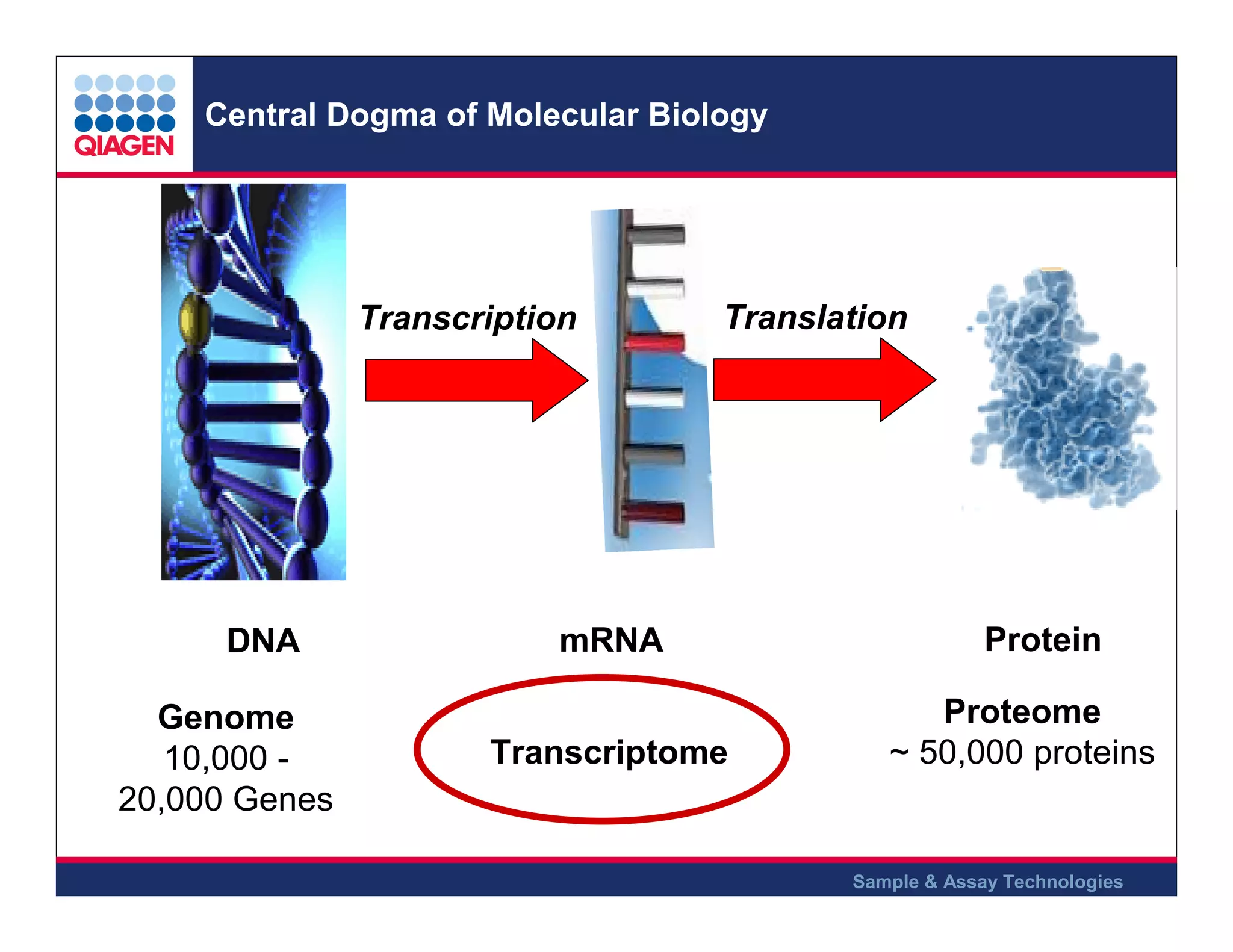 Central Dogma of Molecular Biology

Transcription

DNA
Genome
10,000 20,000 Genes

Translation

mRNA
Transcriptome

Protein
Proteome
~ 50,000 proteins

Sample & Assay Technologies

 