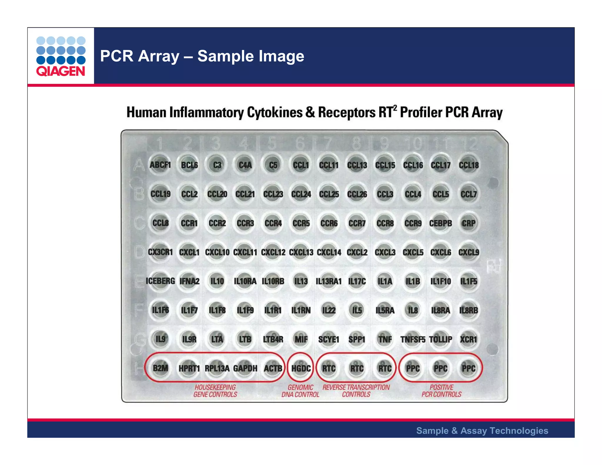 PCR Array – Sample Image

Sample & Assay Technologies

 