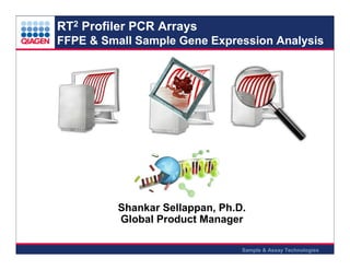 RT2 Profiler PCR Arrays
FFPE & Small Sample Gene Expression Analysis

Shankar Sellappan, Ph.D.
Global Product Manager
Sample & Assay Technologies

 