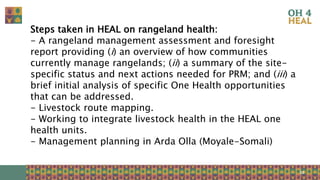 Strengthening health of rangelands as a third pillar of One Health – Experiences from Ethiopia and Mongolia