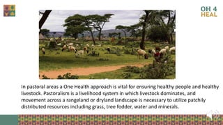 Strengthening health of rangelands as a third pillar of One Health – Experiences from Ethiopia and Mongolia