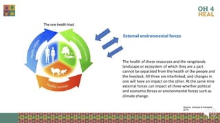 Strengthening health of rangelands as a third pillar of One Health – Experiences from Ethiopia and Mongolia