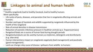 Strengthening health of rangelands as a third pillar of One Health – Experiences from Ethiopia and Mongolia
