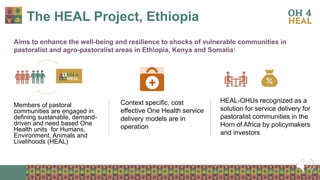 Strengthening health of rangelands as a third pillar of One Health – Experiences from Ethiopia and Mongolia