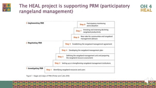 Strengthening health of rangelands as a third pillar of One Health – Experiences from Ethiopia and Mongolia