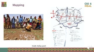 Strengthening health of rangelands as a third pillar of One Health – Experiences from Ethiopia and Mongolia