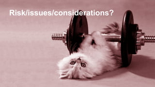 Risk/issues/considerations?
 