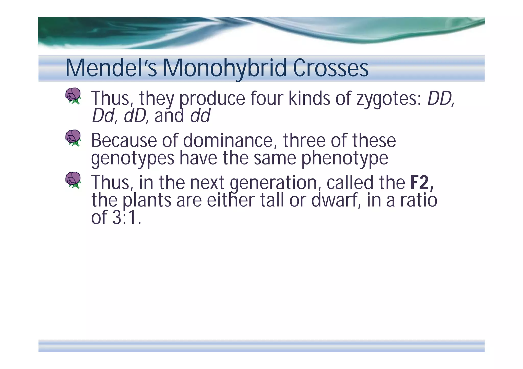 Mendel’s Monohybrid Crosses
Thus, they produce four kinds of zygotes: DD,
Dd, dD, and dd
Because of dominance, three of these
genotypes have the same phenotype
Thus, in the next generation, called the F2,
the plants are either tall or dwarf, in a ratio
of 3:1.

 