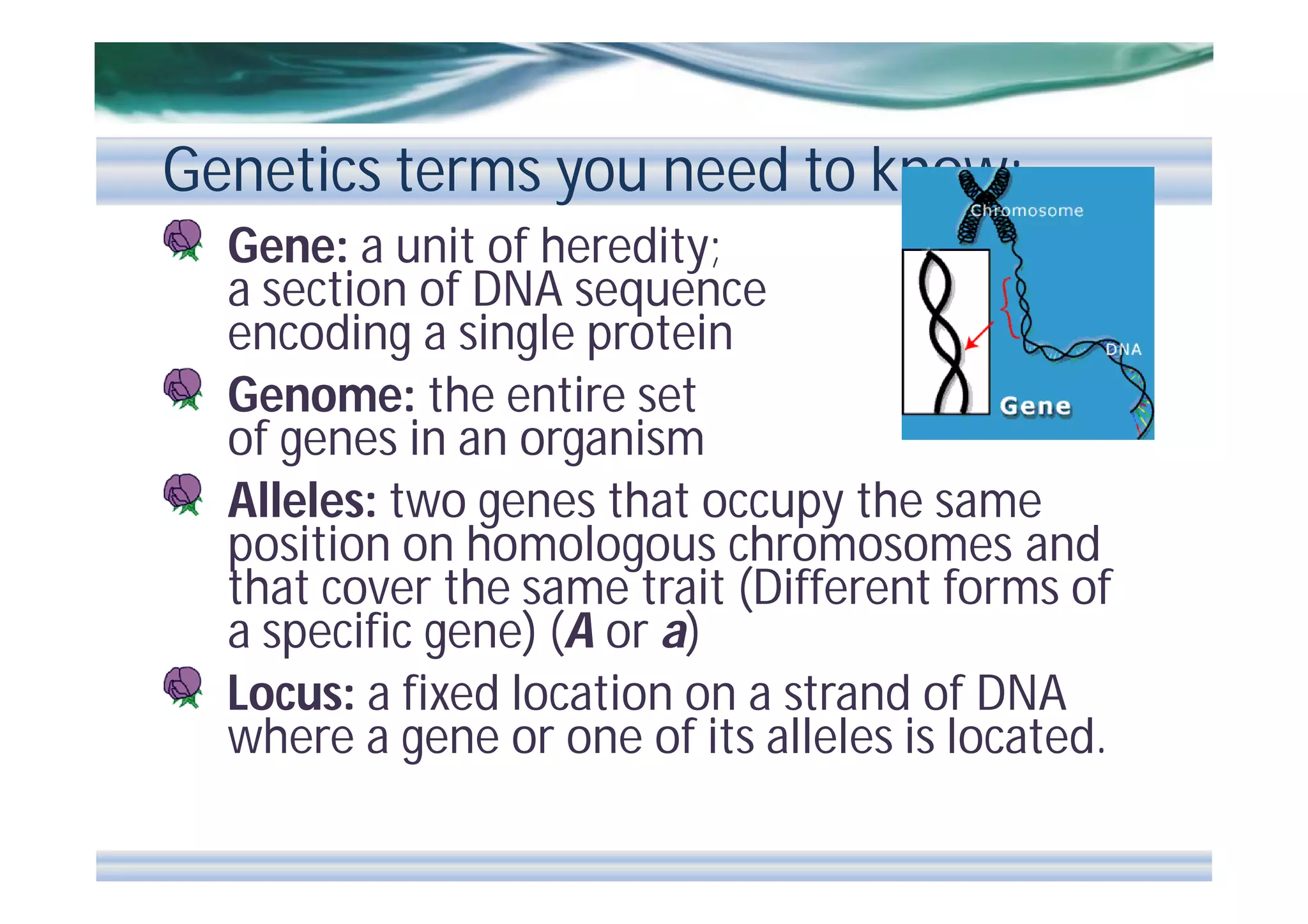 Genetics terms you need to know:
Gene: a unit of heredity;
a section of DNA sequence
encoding a single protein
Genome: the entire set
of genes in an organism
Alleles: two genes that occupy the same
position on homologous chromosomes and
that cover the same trait (Different forms of
a specific gene) (A or a)
Locus: a fixed location on a strand of DNA
where a gene or one of its alleles is located.

 