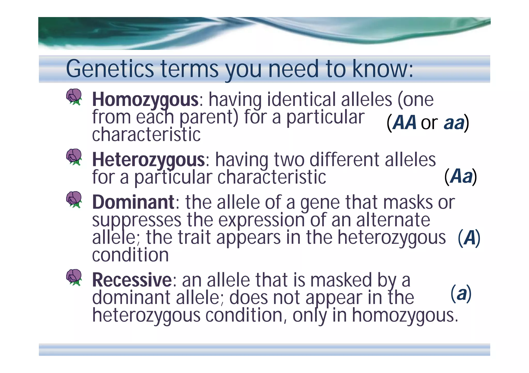 Genetics terms you need to know:
Homozygous: having identical alleles (one
from each parent) for a particular (AA or aa)
characteristic
Heterozygous: having two different alleles
(Aa)
for a particular characteristic
Dominant: the allele of a gene that masks or
suppresses the expression of an alternate
allele; the trait appears in the heterozygous (A)
condition
Recessive: an allele that is masked by a
(a)
dominant allele; does not appear in the
heterozygous condition, only in homozygous.

 