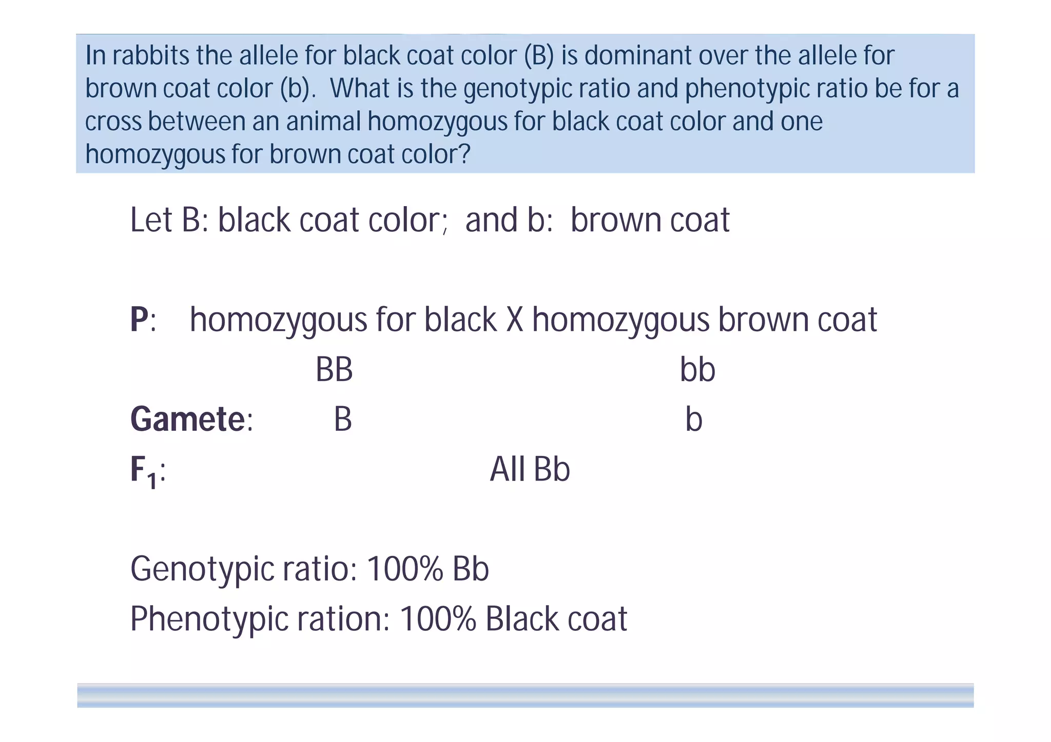 In rabbits the allele for black coat color (B) is dominant over the allele for
brown coat color (b). What is the genotypic ratio and phenotypic ratio be for a
cross between an animal homozygous for black coat color and one
homozygous for brown coat color?

Let B: black coat color; and b: brown coat
P: homozygous for black X homozygous brown coat
BB
bb
Gamete:
B
b
F1 :
All Bb
Genotypic ratio: 100% Bb
Phenotypic ration: 100% Black coat

 