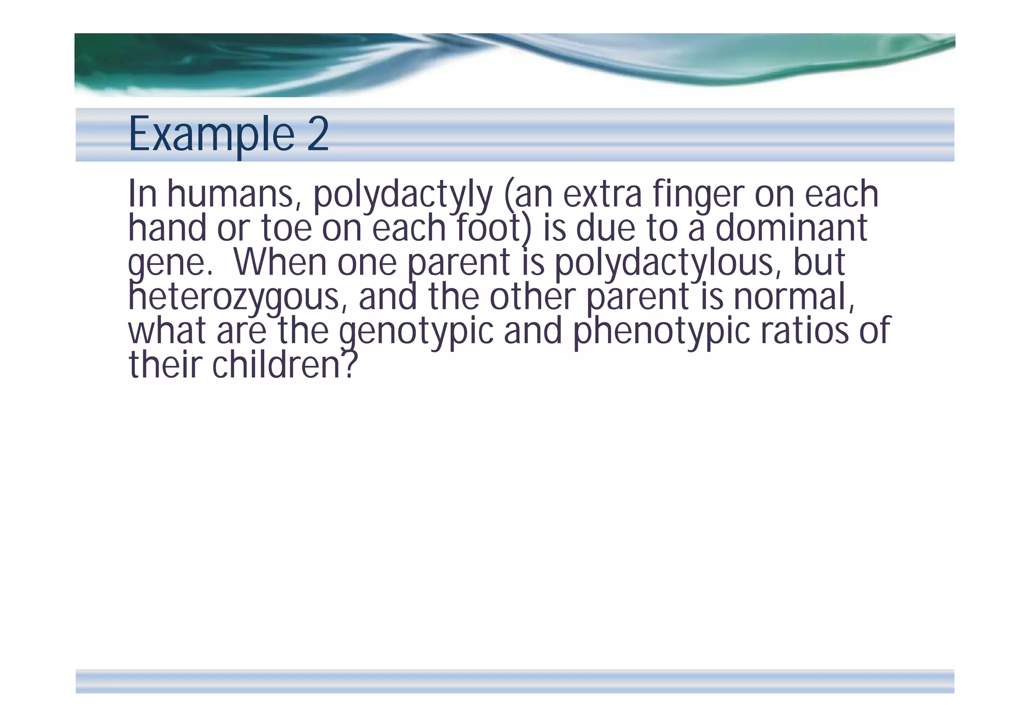 Example 2
In humans, polydactyly (an extra finger on each
hand or toe on each foot) is due to a dominant
gene. When one parent is polydactylous, but
heterozygous, and the other parent is normal,
what are the genotypic and phenotypic ratios of
their children?

 