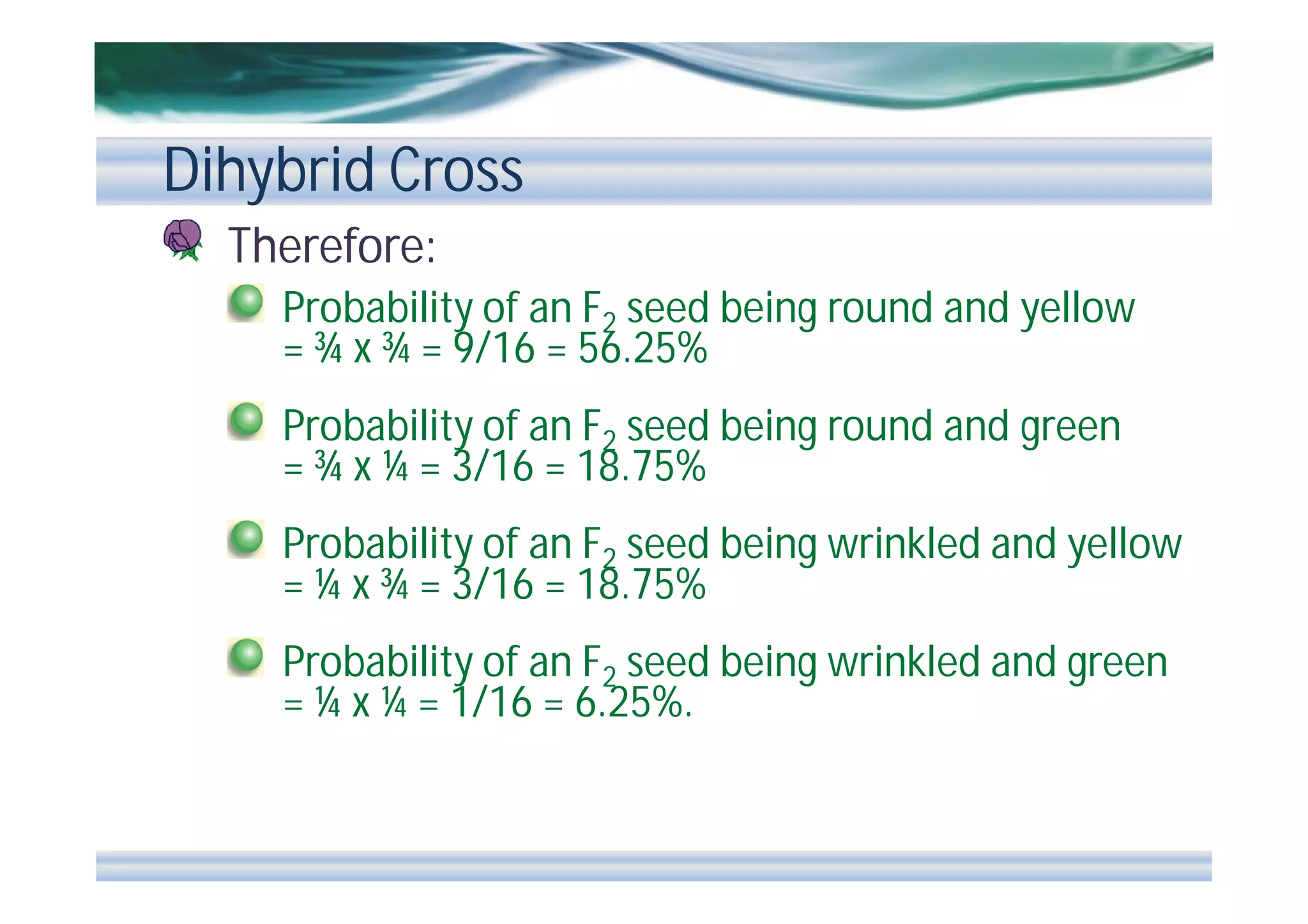 Dihybrid Cross
Therefore:
Probability of an F2 seed being round and yellow
= ¾ x ¾ = 9/16 = 56.25%
Probability of an F2 seed being round and green
= ¾ x ¼ = 3/16 = 18.75%
Probability of an F2 seed being wrinkled and yellow
= ¼ x ¾ = 3/16 = 18.75%
Probability of an F2 seed being wrinkled and green
= ¼ x ¼ = 1/16 = 6.25%.

 