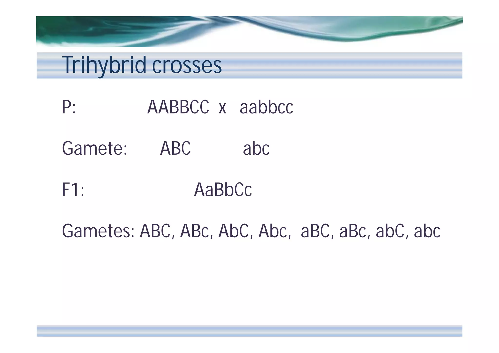 Trihybrid crosses
P:
Gamete:
F1:

AABBCC x aabbcc
ABC

abc
AaBbCc

Gametes: ABC, ABc, AbC, Abc, aBC, aBc, abC, abc

 