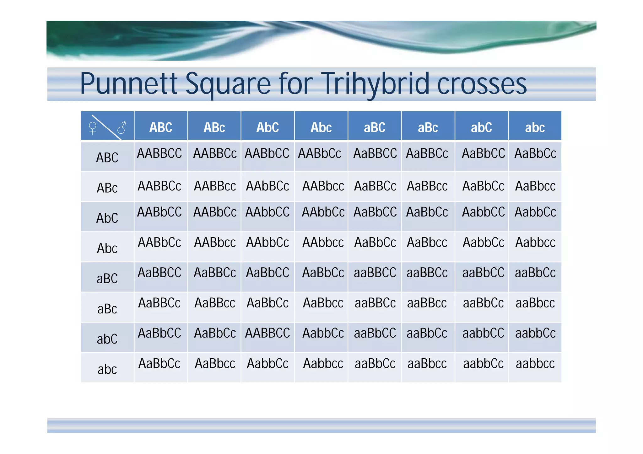 Punnett Square for Trihybrid crosses
♀

♂

ABC

ABc

AbC

Abc

aBC

aBc

abC

abc

ABC

AABBCC AABBCc AABbCC AABbCc AaBBCC AaBBCc AaBbCC AaBbCc

ABc

AABBCc AABBcc AAbBCc AABbcc AaBBCc AaBBcc

AbC

AABbCC AABbCc AAbbCC AAbbCc AaBbCC AaBbCc AabbCC AabbCc

Abc

AABbCc AABbcc AAbbCc AAbbcc AaBbCc AaBbcc

AabbCc Aabbcc

aBC

AaBBCC AaBBCc AaBbCC AaBbCc aaBBCC aaBBCc

aaBbCC aaBbCc

aBc

AaBBCc AaBBcc AaBbCc

AaBbcc aaBBCc aaBBcc

aaBbCc aaBbcc

abC

AaBbCC AaBbCc AABBCC AabbCc aaBbCC aaBbCc

aabbCC aabbCc

abc

AaBbCc

aabbCc aabbcc

AaBbcc AabbCc

Aabbcc aaBbCc aaBbcc

AaBbCc AaBbcc

 