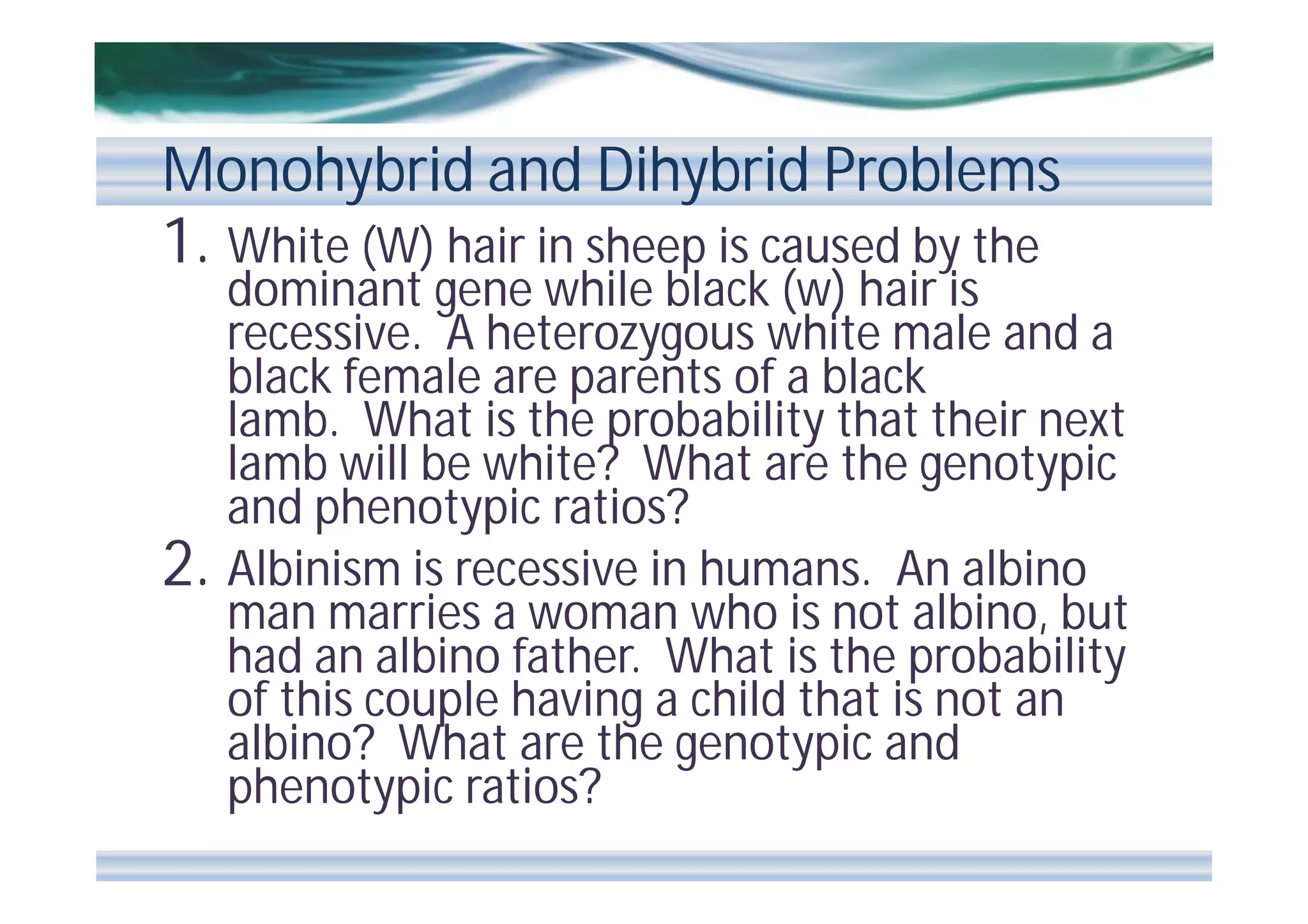 Monohybrid and Dihybrid Problems
1. White (W) hair in sheep is caused by the

2.

dominant gene while black (w) hair is
recessive. A heterozygous white male and a
black female are parents of a black
lamb. What is the probability that their next
lamb will be white? What are the genotypic
and phenotypic ratios?
Albinism is recessive in humans. An albino
man marries a woman who is not albino, but
had an albino father. What is the probability
of this couple having a child that is not an
albino? What are the genotypic and
phenotypic ratios?

 