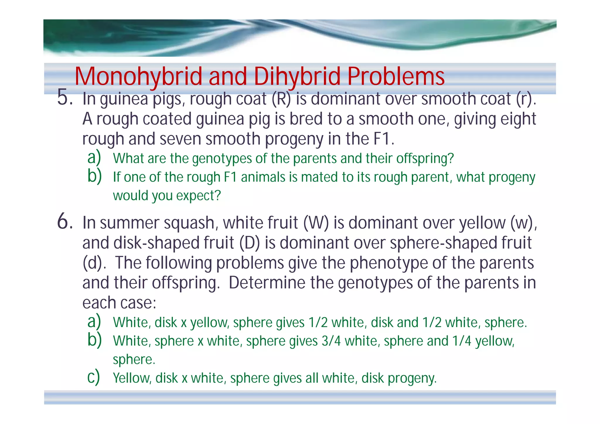 5.

Monohybrid and Dihybrid Problems

In guinea pigs, rough coat (R) is dominant over smooth coat (r).
A rough coated guinea pig is bred to a smooth one, giving eight
rough and seven smooth progeny in the F1.
a) What are the genotypes of the parents and their offspring?
b) If one of the rough F1 animals is mated to its rough parent, what progeny
would you expect?

6.

In summer squash, white fruit (W) is dominant over yellow (w),
and disk-shaped fruit (D) is dominant over sphere-shaped fruit
(d). The following problems give the phenotype of the parents
and their offspring. Determine the genotypes of the parents in
each case:
a) White, disk x yellow, sphere gives 1/2 white, disk and 1/2 white, sphere.
b) White, sphere x white, sphere gives 3/4 white, sphere and 1/4 yellow,

c)

sphere.
Yellow, disk x white, sphere gives all white, disk progeny.

 