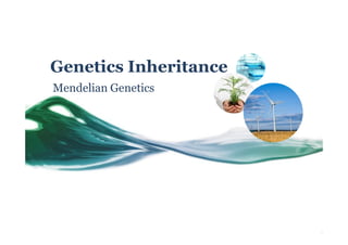 Genetics Inheritance
Mendelian Genetics

 
